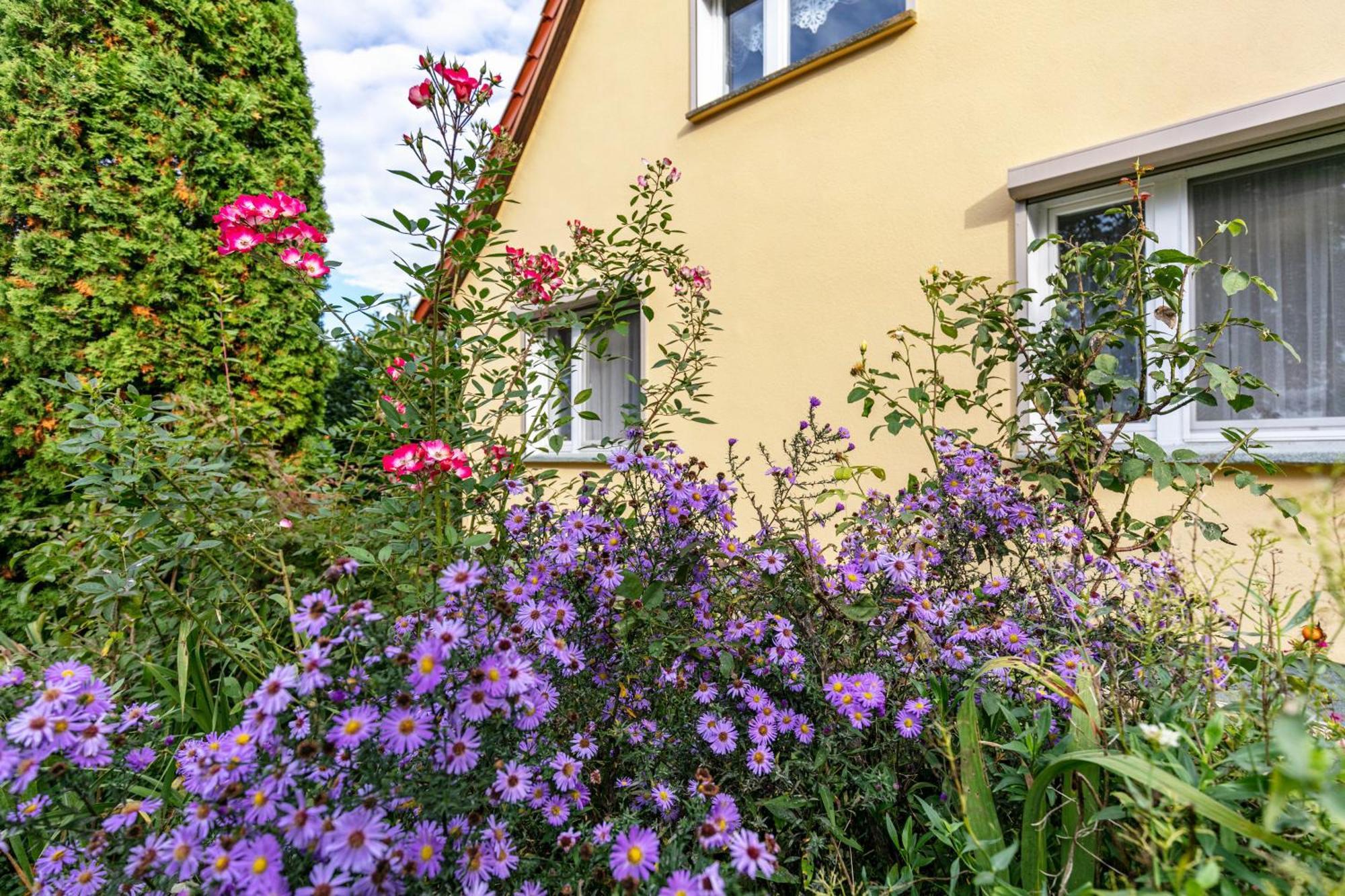 Ferienwohnung Im Blumengarten 安格尔明德 外观 照片